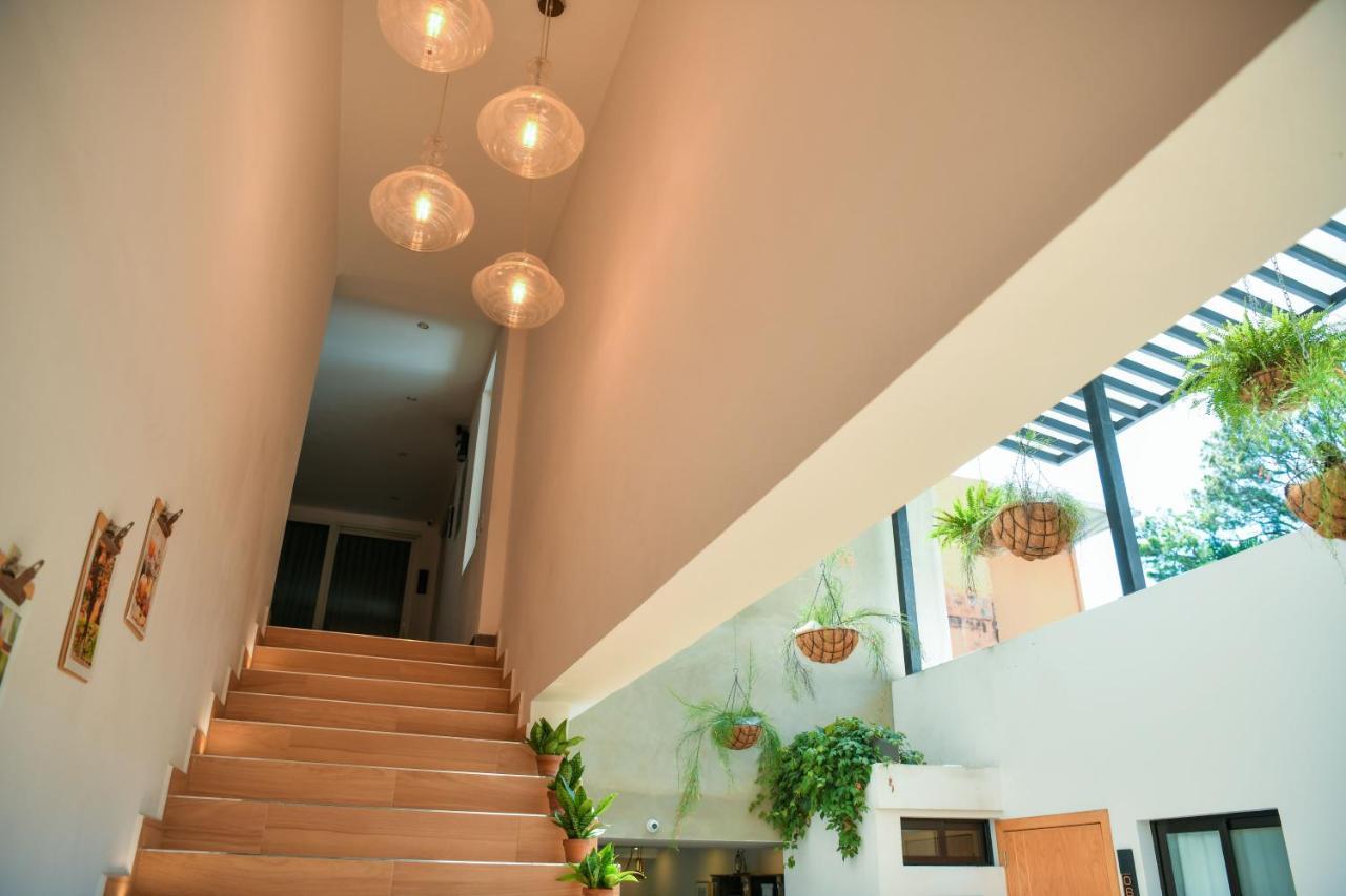 Kaleo Hotel Boutique San Salvador Dış mekan fotoğraf