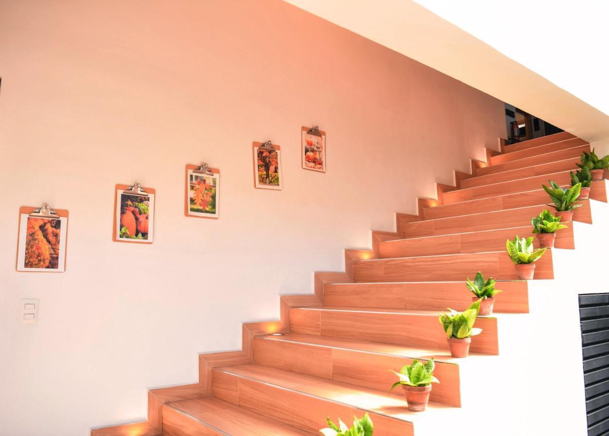 Kaleo Hotel Boutique San Salvador Dış mekan fotoğraf