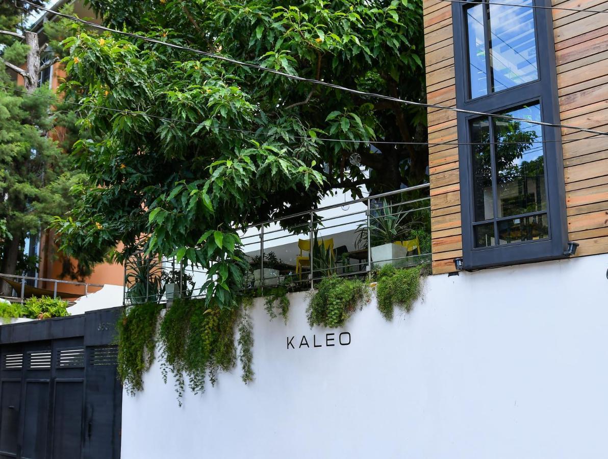 Kaleo Hotel Boutique San Salvador Dış mekan fotoğraf